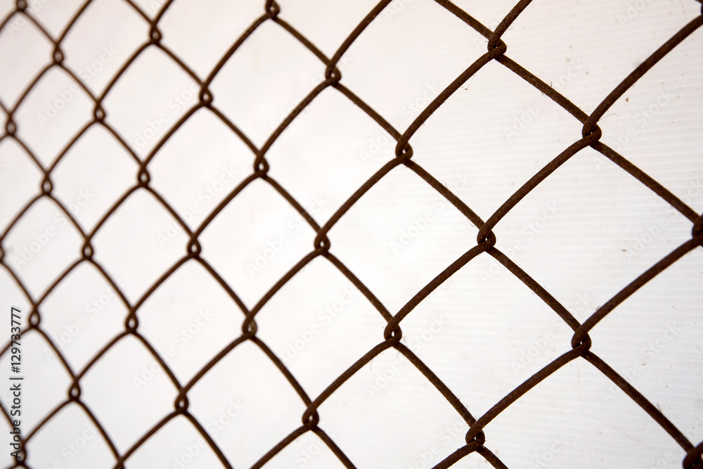 Fototapeta premium Background mesh