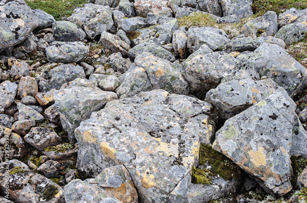 Big gray stones in tundra