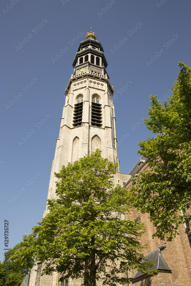 Abbey complex with its tower Lange Jan, Middelburg, Zeeland, Netherlands