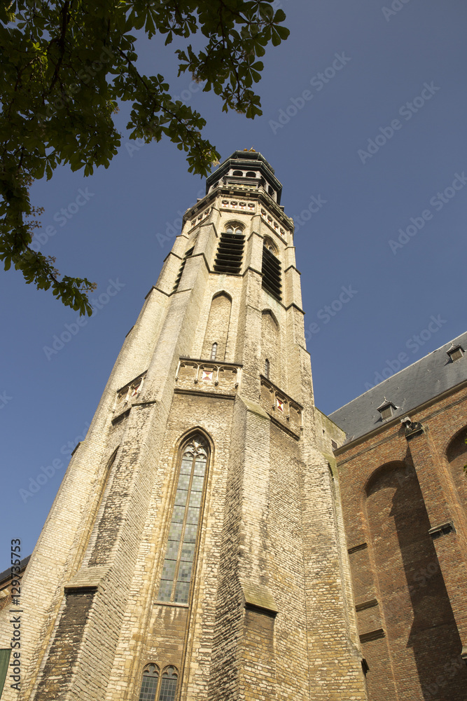 Abbey complex with its tower Lange Jan, Middelburg, Zeeland, Netherlands