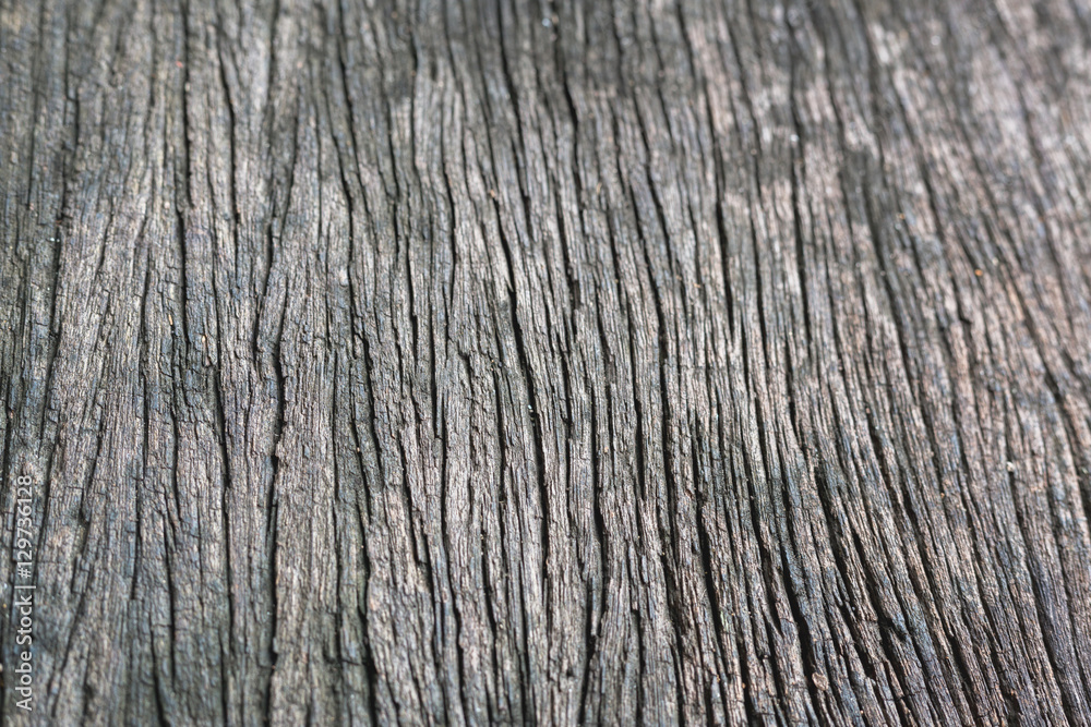 close up wood texture grunge texture background2 close up wood texture grunge texture background2