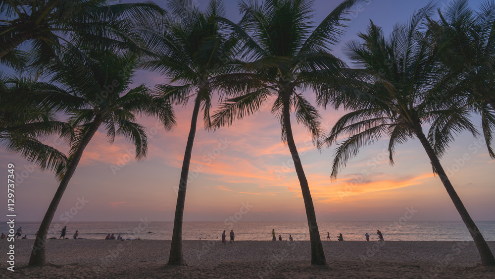 During sunset time with coconut Palm Trees background on the Beach silhouette