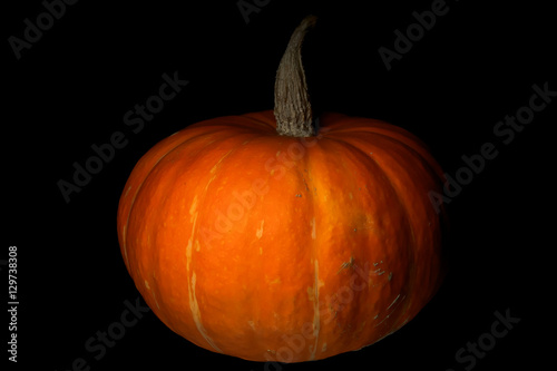 Pumpkin on black background