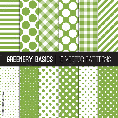 Green and White Gingham Che...