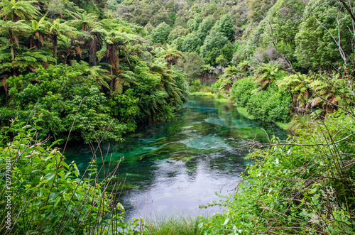 Blue Spring which is located at Te Waihou Walkway Hamilton New Zealand. It internationally acclaimed supplies around 70  of New Zealand s bottled water because of the pure water.