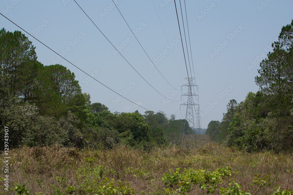 .Antenna and transmission line built through the forest to cut t
