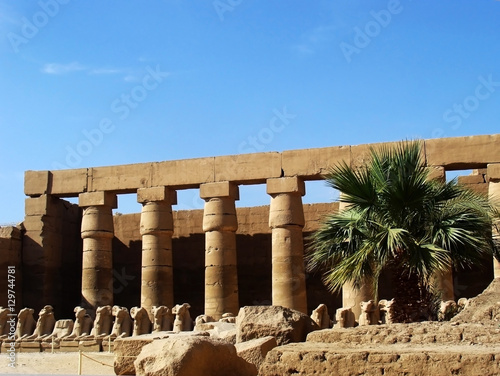 Columnes in Luxor Temple and Statues of the sheeps, Egypt photo