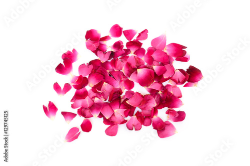 Pink rose petals heap on white background