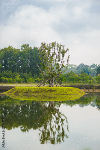 Big tree on still water pond with Water reflection