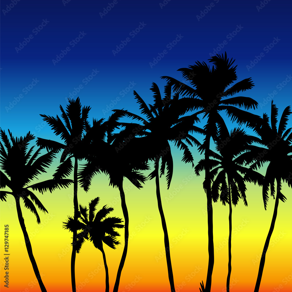 Sunset scene with palm trees