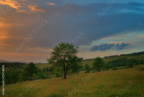 Carpathian Tree at Sunset © adonis_abril