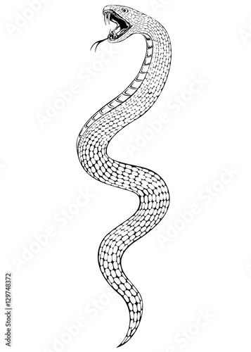snake