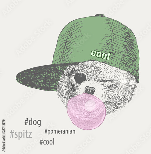 cool and cute dog in the rapper cap with a piece of gum. vector