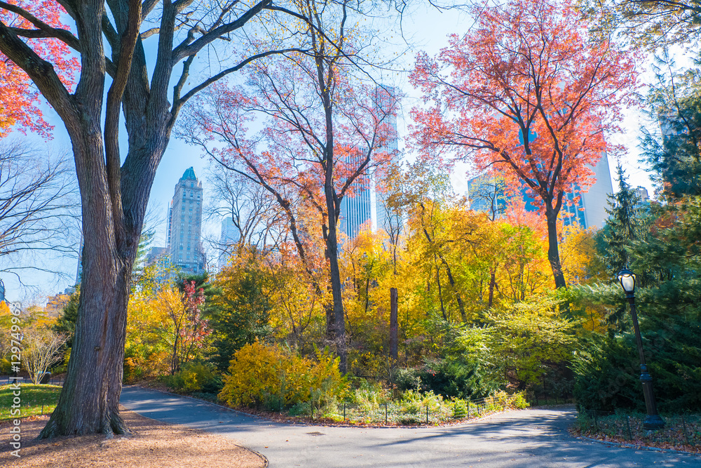 Fototapeta premium Season Change