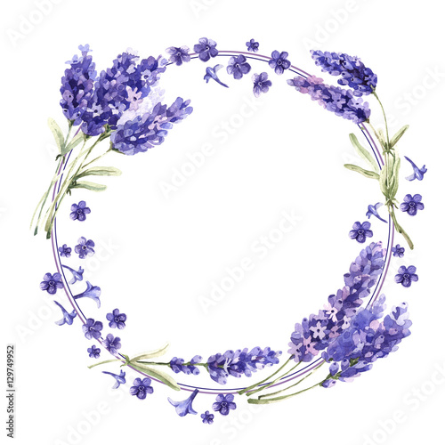 Fototapeta Naklejka Na Ścianę i Meble -  Wildflower lavender flower wreath in a watercolor style isolated.