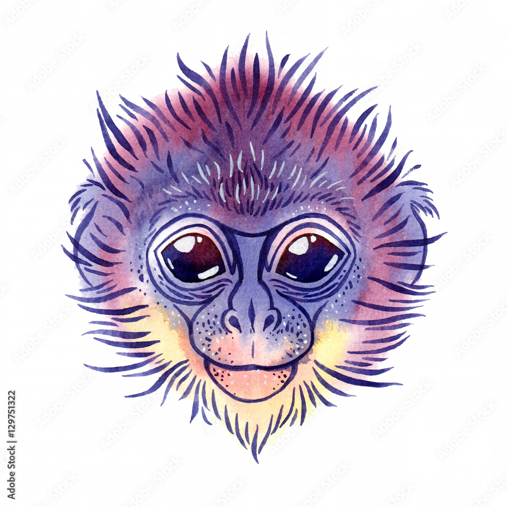 Watercolor spectacled langur on white background