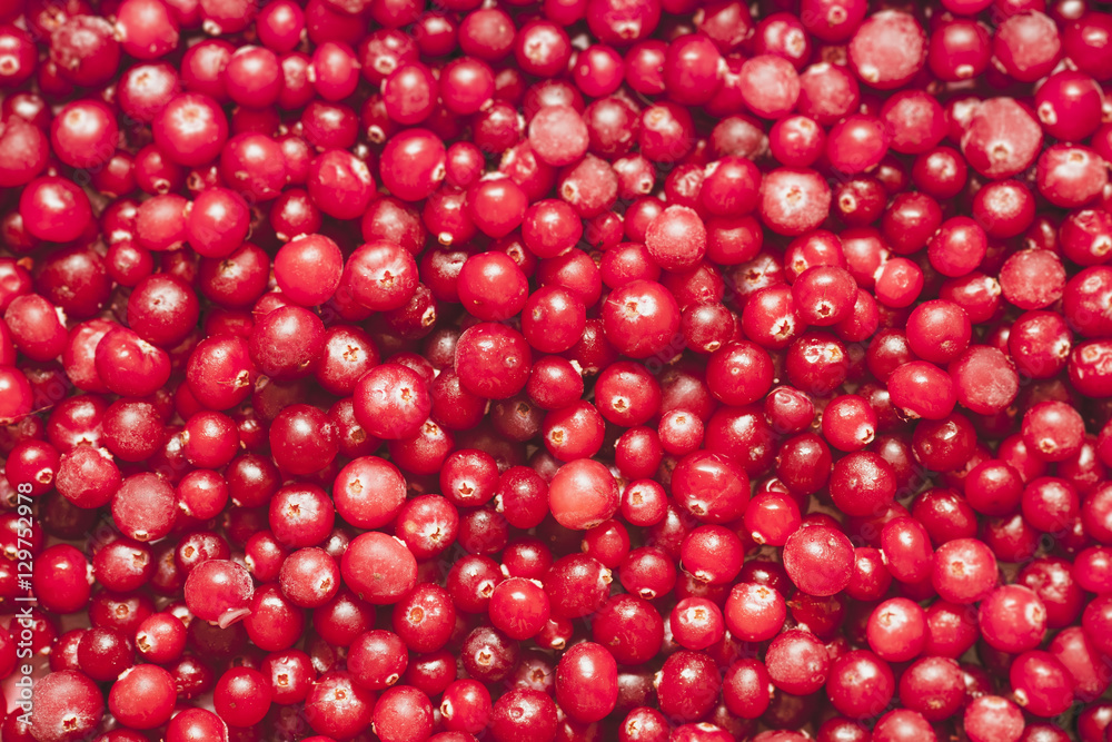 Blurred cranberries for the background. Selective focus