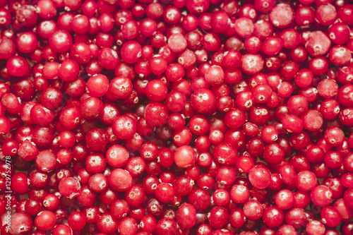 Blurred cranberries for the background. Selective focus