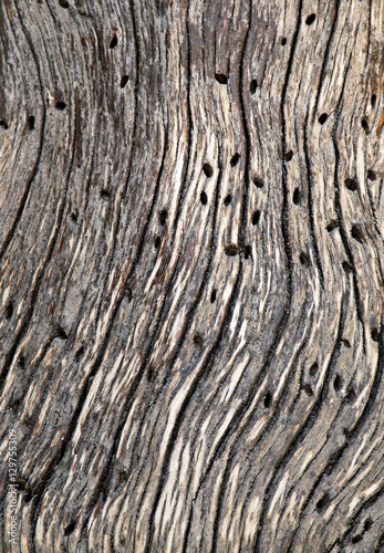 Abstract cracked wood