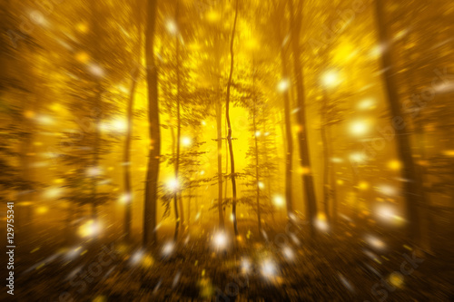 Abstract motion blurred gold colored foggy forest tree fairytale landscape with dreamy firefly lights.