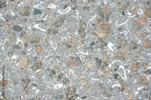 Wallpaper Mural Shell rock background Torontodigital.ca