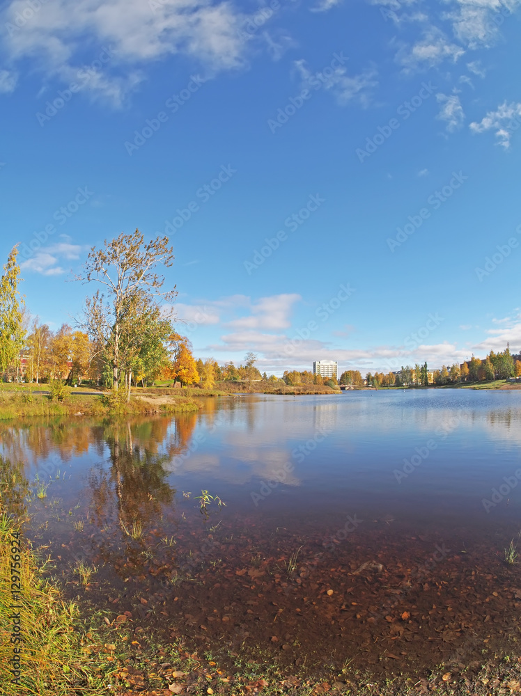 Fototapeta premium autumn park