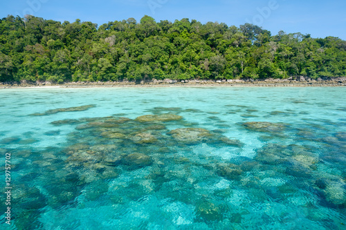 Beautiful island clear water for snorkeling