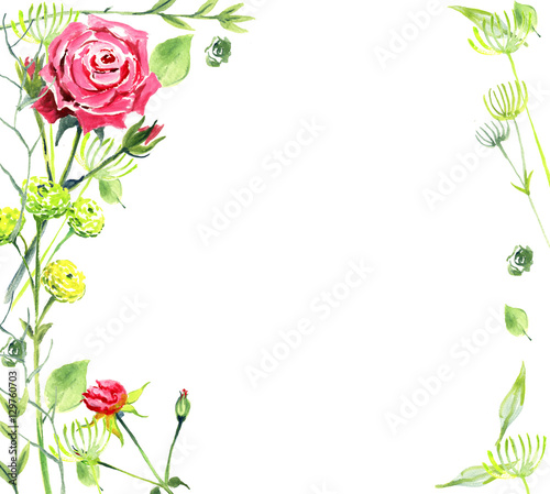 Roses  watercolor