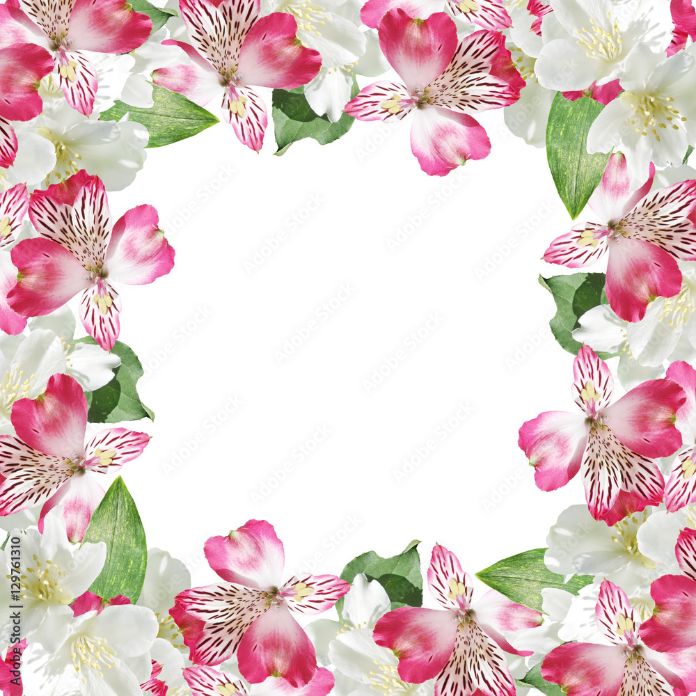 Beautiful floral background of jasmine and pink alstroemeria 