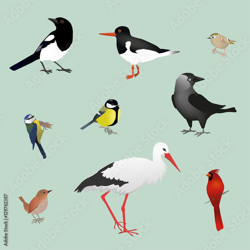 Bird collection