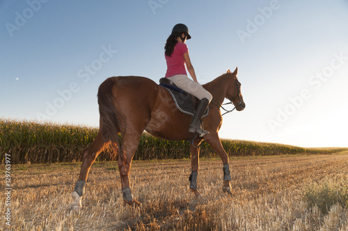 caballo photo