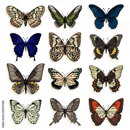 Set of illustrations with butterflies. Freehand drawing