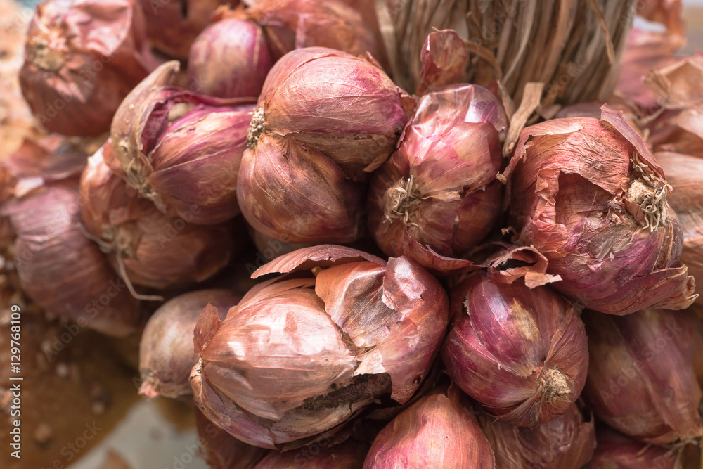 Agricultural background, a pile of beautiful garlic
