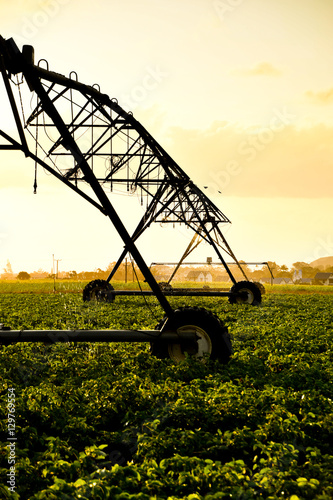 Pivot overhead irrigation with sunset background.