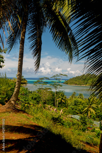 paysage de Polynésie française