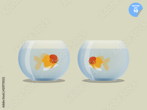 couple goldfish in separated bowl,isolated goldfish in bowl, friendship concept
