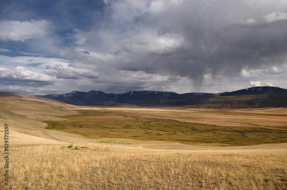 A highland swamp river valley with yellow grass on a background of snow covered high mountains and glaciers under clouds and blue sky, Plateau Ukok, Altai Siberia, Russia