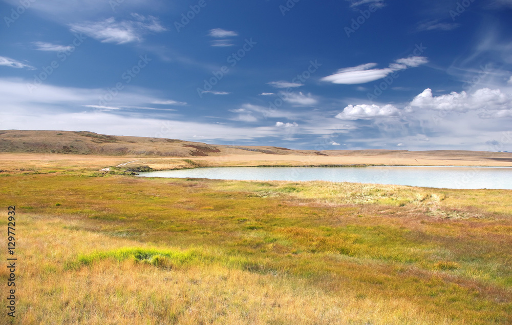 Bright landscape with steppe shore of a  milky turquoise glacier lake with dry yellow grass under the blue sky and white clouds. The Ukok Plateau, Altai Mountains, Siberia, Russia.
