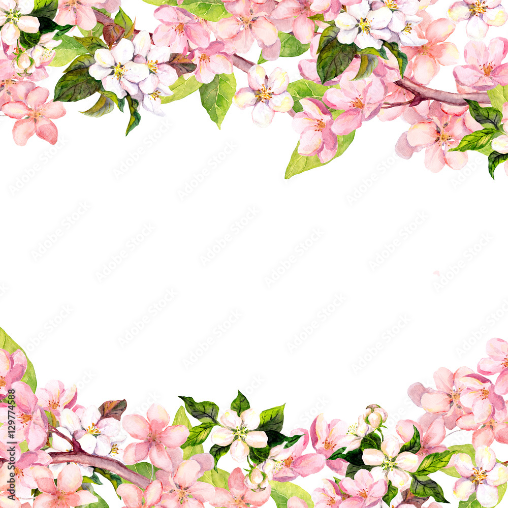 Obraz premium Blossom pink sakura flowers. Floral card or blank. Watercolor