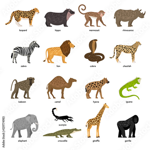Lovely set of African animals