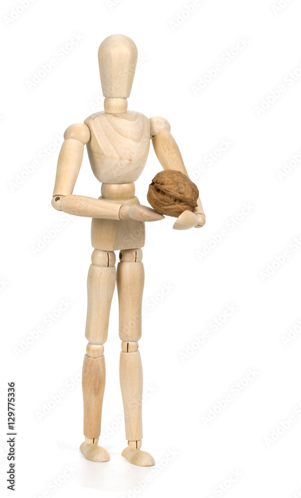 wooden dummy and walnuts