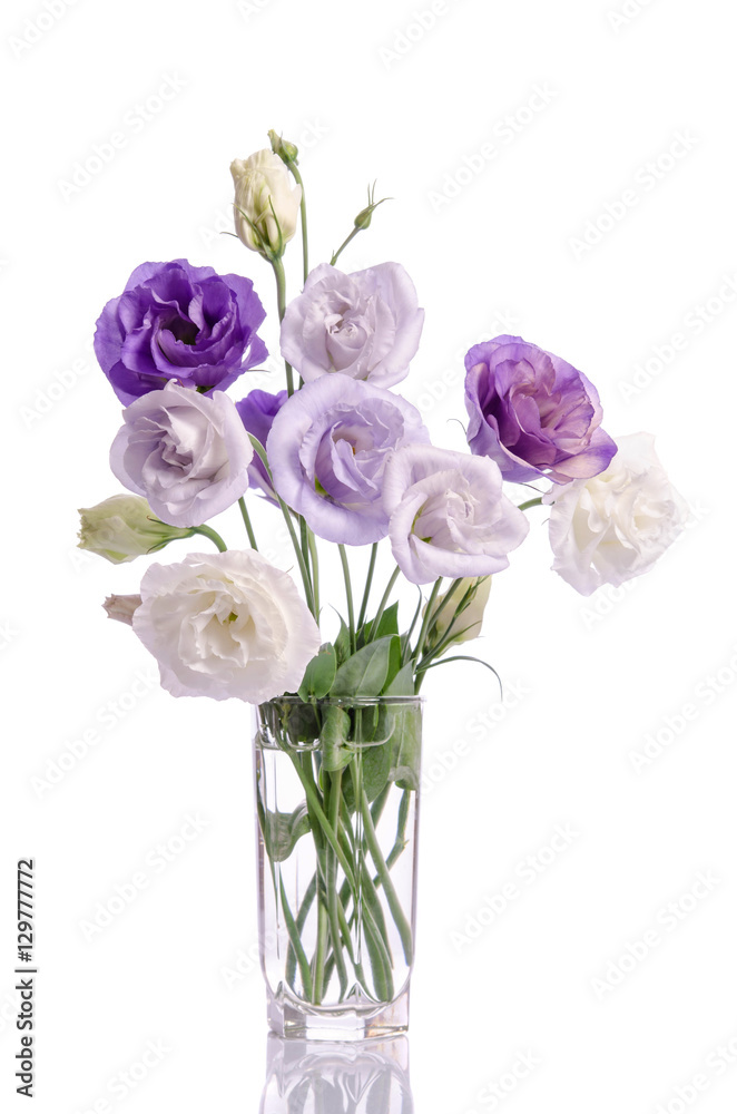 bunch of white and violet eustoma flowers in glass vase