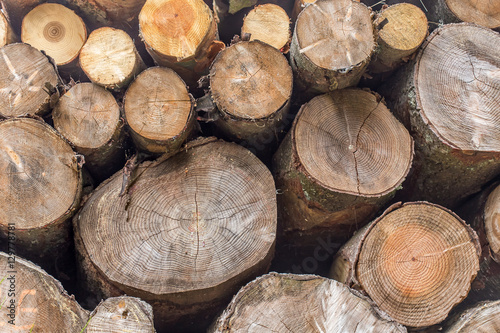 billes de bois pour le chauffage