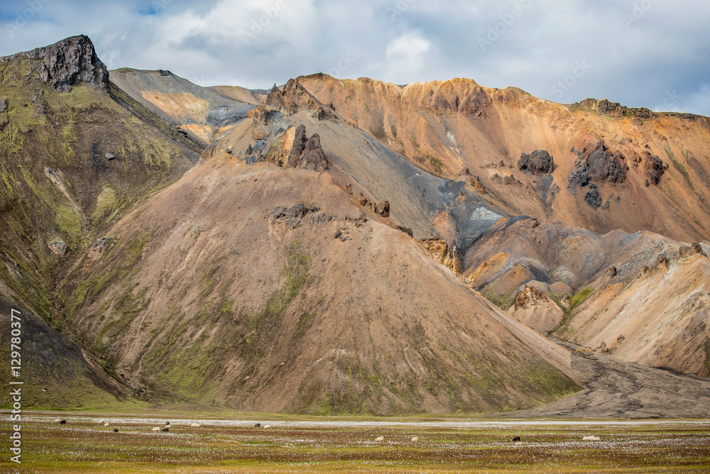 Fototapeta premium Dramatic multicoloured mountains at Landmannalaugar,Iceland