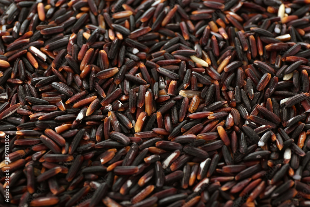 Dark wild rice background Dark wild rice background