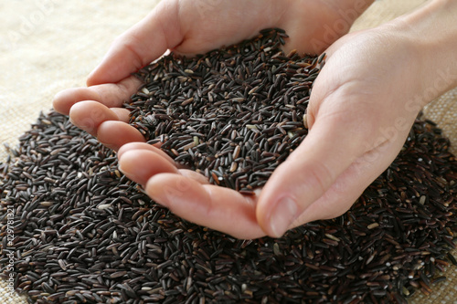 Female hands full of dark wild rice closeup photo