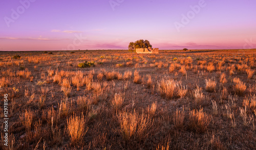 Australian countryside rural farm landscape Cottage ruins at sun
