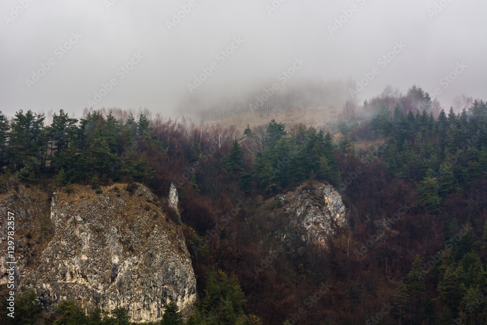 Fog Surrounding the Forest and the Huge Cliffs Fog Surrounding the Forest and the Huge Cliffs