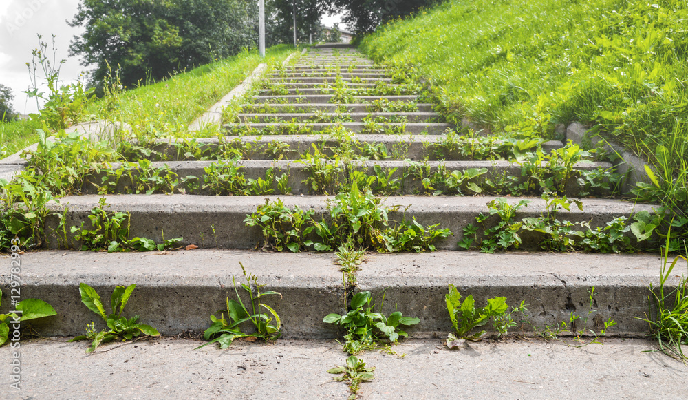 Stairs overgrown with grass
Stairs overgrown with grass