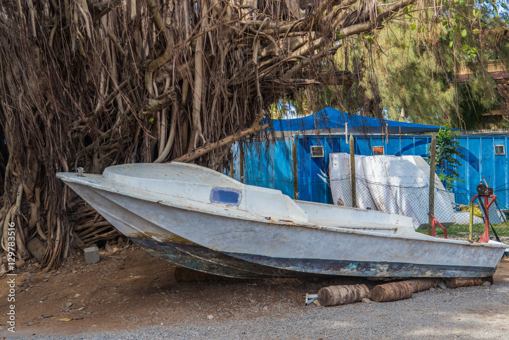 An old boat near big tree, Mauritius An old boat near big tree, Mauritius
